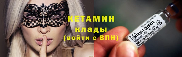 прущие грибы Армянск
