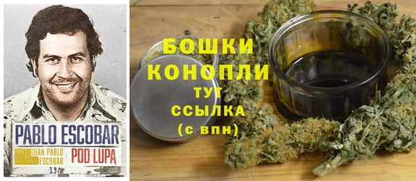 прущие грибы Армянск