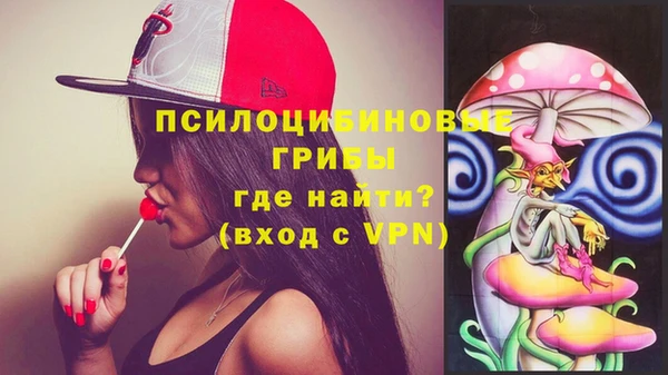 прущие грибы Армянск
