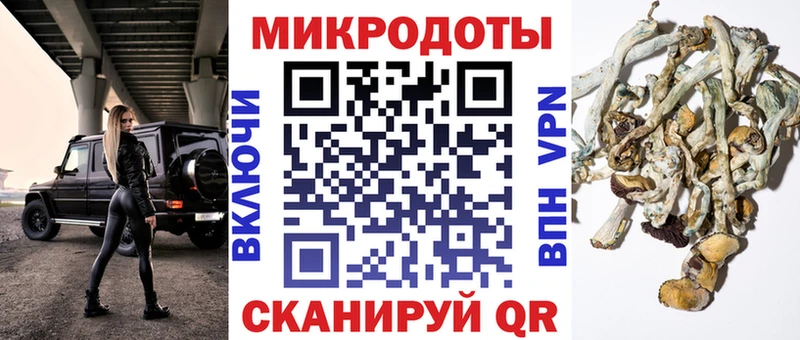 Галлюциногенные грибы мухоморы  Рыбное 